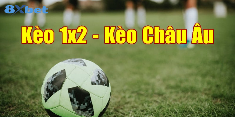 mẹo cược 1x2 Phân tích trận đấu thay vì phụ thuộc vào may mắn