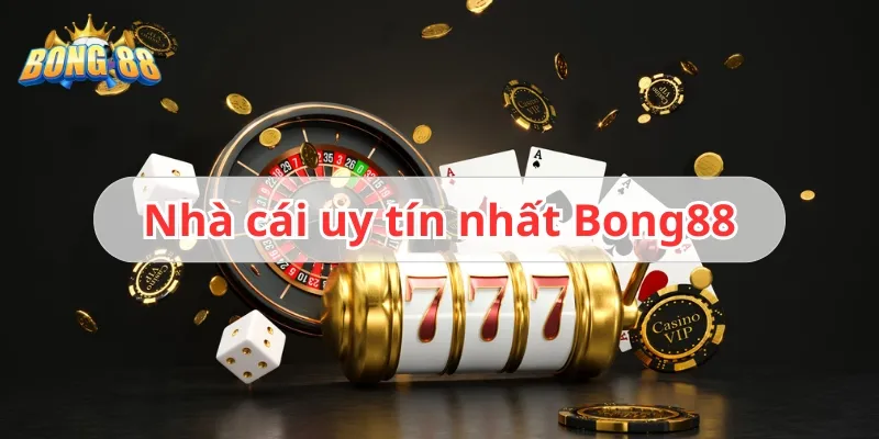 chuyên gia nói gì về bong88